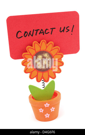 Contact us words written on red paper of sun flower pot clip Stock Photo
