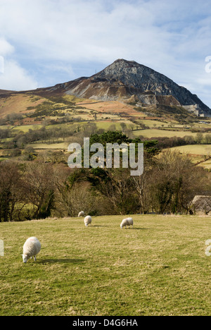 Tre'r Ceiri, Yr Eifl Mountains from Trefor, Lleyn Peninsula, Caernarfon, Gwynedd, North Wales. Stock Photo