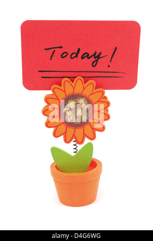 Today word written on red paper of sun flower pot clip Stock Photo