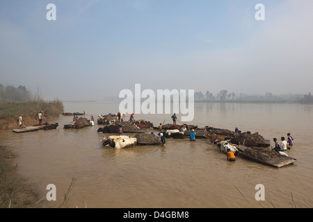 Punjabi laborers and cattle carts collecting sand from the river Beas in India under a hazy blue sky Stock Photo