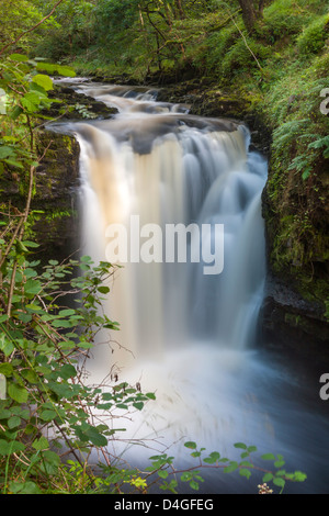 Sgwd Henrhyd Waterfall Brecon Beacons National Park Wales Uk Stock Photo Alamy