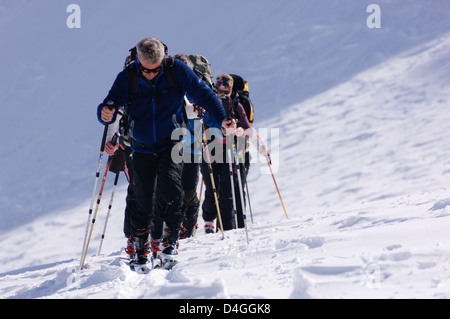 Group of ski alpinists ascending a glacier in the Stubai Alps, Tirol, Austria Stock Photo