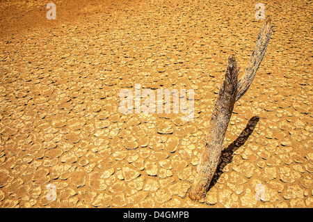 alamy cracked desert drought wasteland parched dry earth