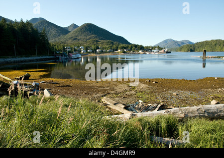 The Tsimshian indigenous village of Klemtu on Swindle Island, Great ...