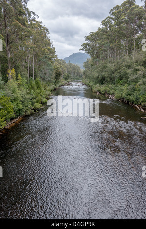 The spectacular Huon river and forest near Geeveston,  Tasmania. Stock Photo