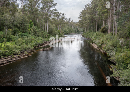 The spectacular Huon river and forest near the Tahune Forest. Geeveston, Stock Photo