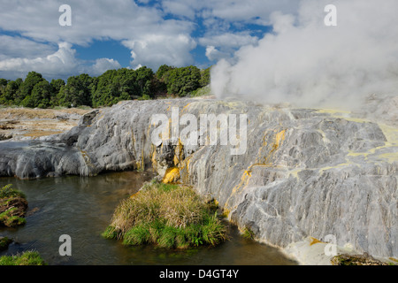 Pohutu Geyser, Te Puia, Rotorua, North Island, New Zealand Stock Photo