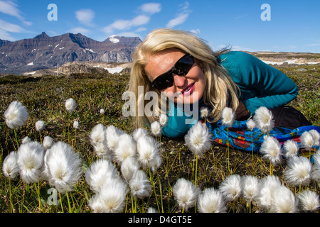 Leslie Amaral with Arctic cottongrass (Eriophorum callitrix), Heckla Haven, Northeast Greenland, Polar Regions Stock Photo