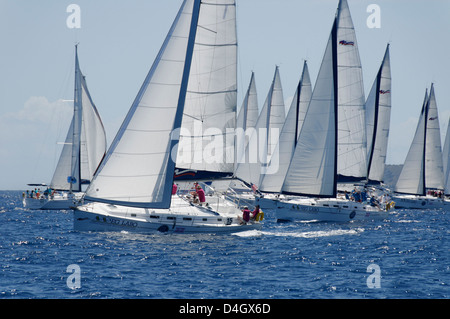 Sailboat regattas. British Virgin Islands, West Indies, Caribbean Stock Photo