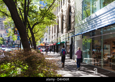 Stores on North Michigan Avenue's Magnificent Mile, Chicago's most fashionable shopping street, Chicago, Illinois, USA Stock Photo