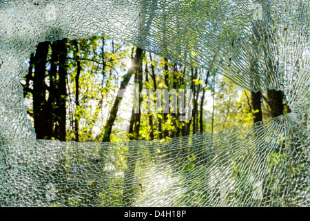 Sunlit forest through broken glass, Båstnäs, Värmland, Sweden, Europe Stock Photo