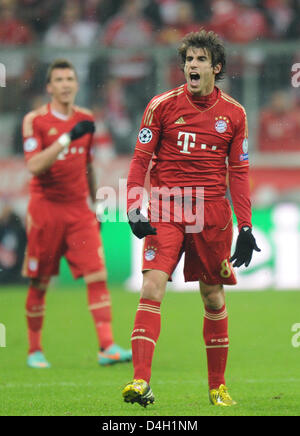 Munich, Germany. 13th March 2013. Munich's Javier Martinez reacts during the UEFA Champions League soccer round of sixteen between FC Bayern Munich and Arsenal FC at Fußball Arena München in Munich, Germany, 13 2012. Photo: Marc Müller dpa /Alamy Live News Stock Photo