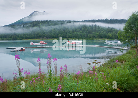 float planes, boat at dock, fireweed (Epilobium augustifolium) in foreground; Upper Trail Lake, Moose Pass, Alaska Stock Photo