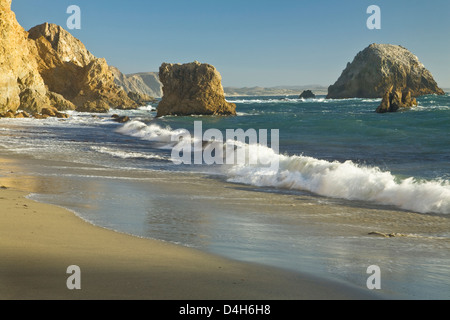 McClure's Beach, Point Reyes National Seashore, Marin County, California, USA; beach, surf, and sea stacks, late afternoon Stock Photo