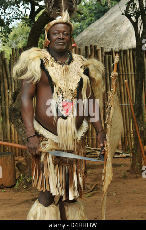 People, Zulu chief, man, traditional ceremonial dress, spear and shield, posing, culture theme village, Shakaland, KwaZulu-Natal, South Africa, ethnic Stock Photo