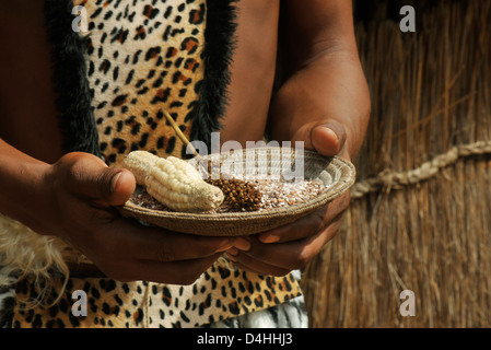 Objects, close up, Zulu fermented beverage, hands, woven basket, maize, sorghum, ingredients, traditional African beer, KwaZulu-Natal, South Africa Stock Photo