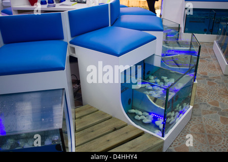 Fish Pedicure Salon Stock Photo