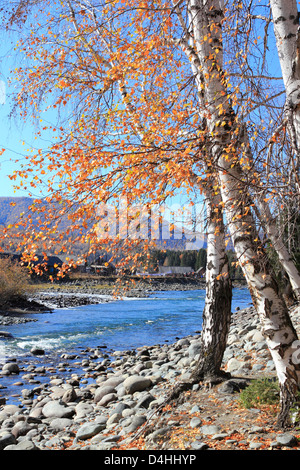 Autumn landscape in Xinjiang China. Stock Photo