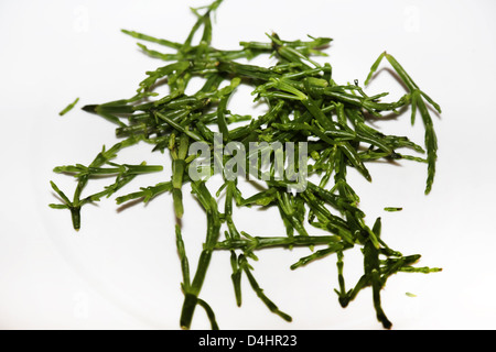 Steamed Samphire Steamed Samphire