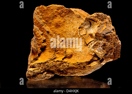 Limonite (from Cooper Bay, Australia) Iron oxide Stock Photo
