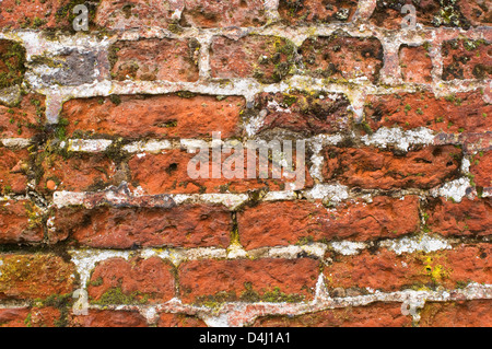 Wall - John Gollop Stock Photo