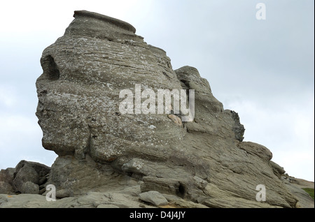 Rock formation of Sphinx, in Bucegi mountains, Romania landmark Stock Photo