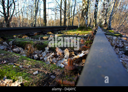 Berlin, Germany, old rail bed in the landscape park Schoeneberg Stock Photo