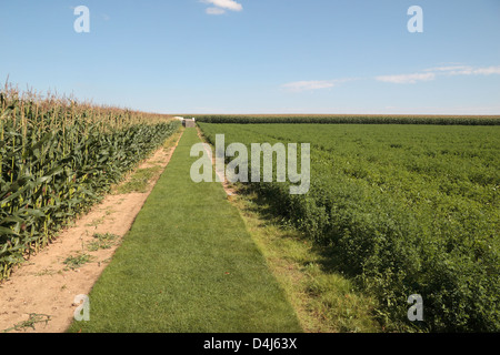 Pathway through a farmers field to Queens Cemetery, opposite Sheffield Memorial Park, near Puisieux, France. Stock Photo