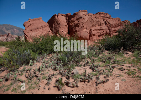 Rock formations and canyons in the foothills of Andes in Cafayate region, Salta, Argentina Stock Photo