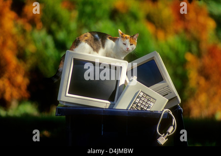 Old computer screen thrown in the trash can bin for recycling. Stock Photo