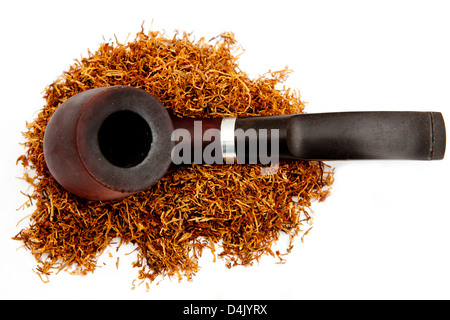 bulldog lying on a pile of tobacco on a white background Stock Photo