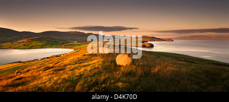 Sheep grazing in rural landscape Stock Photo