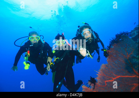 Divers swimming in coral reef Stock Photo