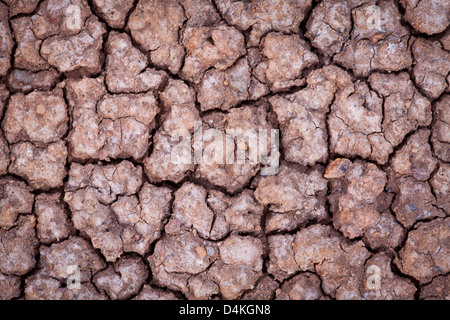 Cracked earth in Sarigua national park, Herrera province, Republic of Panama. Stock Photo