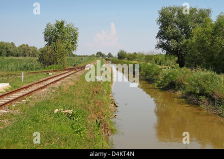 Tourist railway heading through the wetlands of the Hortobágy National Park, Eastern Hungary Stock Photo