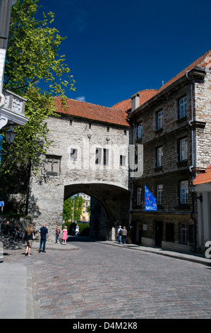 The archway of the Great Coastal Gate (Suur Rannavärav)  in Pikk, Tallinn, Estonia, Baltic States Stock Photo