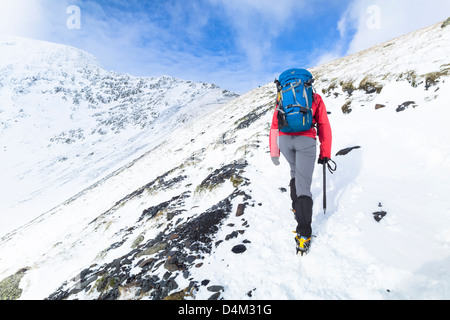 A hiker climbing Sharp Edge on route to the summit of Blencathra (Saddleback) in the Lake District. Stock Photo