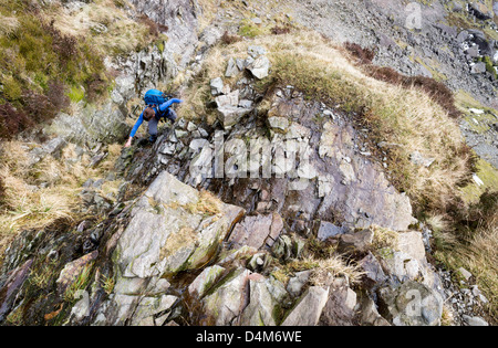 A hiker ascending Jack's Rake on Pavey Ark in the Lake District. Stock Photo