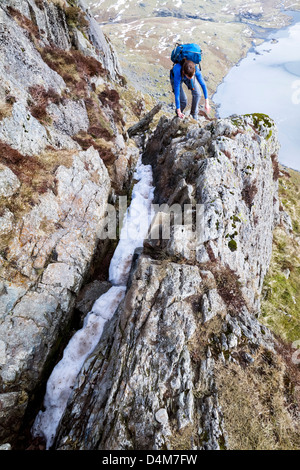 A hiker ascending a ridge on Jack's Rake on Pavey Ark in the Lake District. Stock Photo