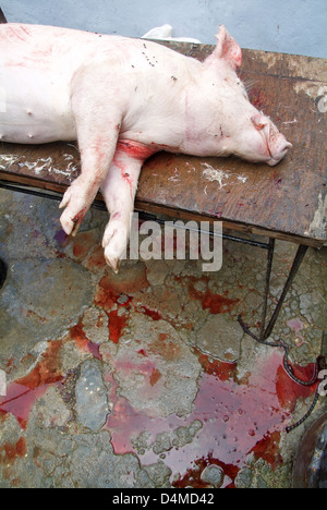 Havana, Cuba, private pig slaughtering in San Miguel Stock Photo