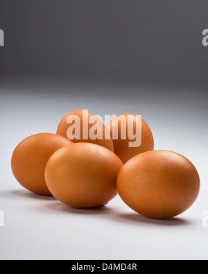 Brown Eggs . Stock Photo