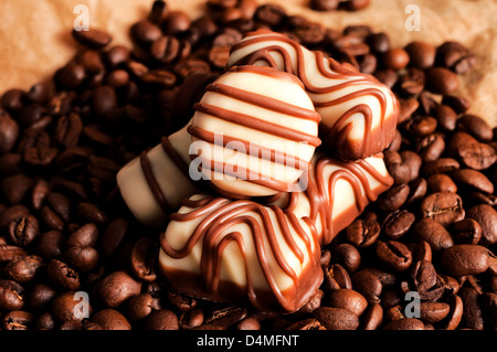 Selective focus on the pralines on coffee beans Stock Photo