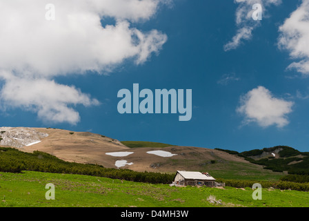 Landscape ofthe Carpathian mountains, in a beautiful day of spring Stock Photo