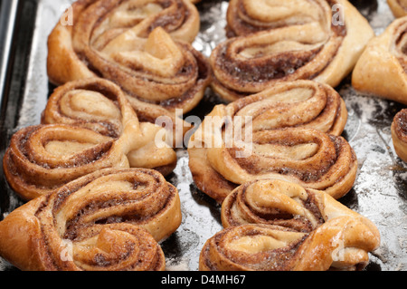 Cinnamon buns after baking on a cookie sheet Stock Photo