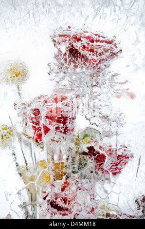fresh flowers, frozen in a block of ice Stock Photo