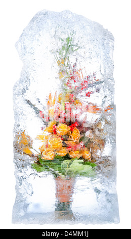 Collage . fresh flowers, frozen in a block of ice Stock Photo