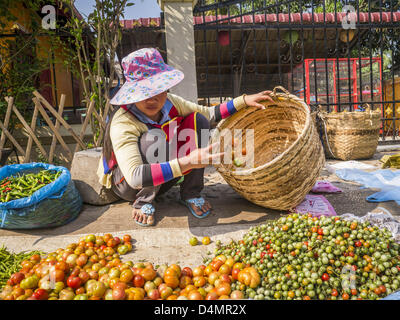 March 11, 2013 - Luang Prabang, Luang Prabang, Laos - A vendor in the market in Luang Prabang, Laos, sorts tomatoes she has for sale. (Credit Image: © Jack Kurtz/ZUMAPRESS.com)