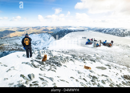 Climbers, hikers  and dogs on the summit of Helvellyn in winter, the Lake District. Stock Photo