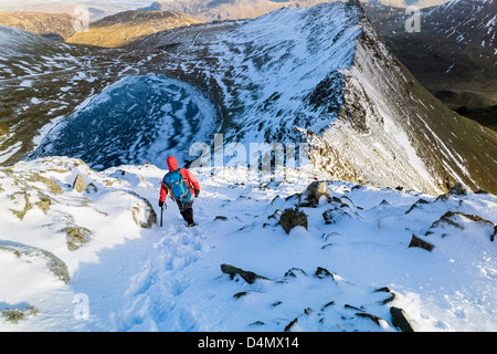 A hiker descending Helvellyn towards Striding Edge and Red Tarn in the Lake District. Stock Photo