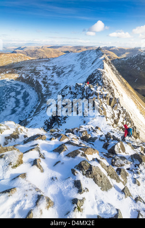 A hiker descending Helvellyn towards Striding Edge and Red Tarn in the Lake District. Stock Photo